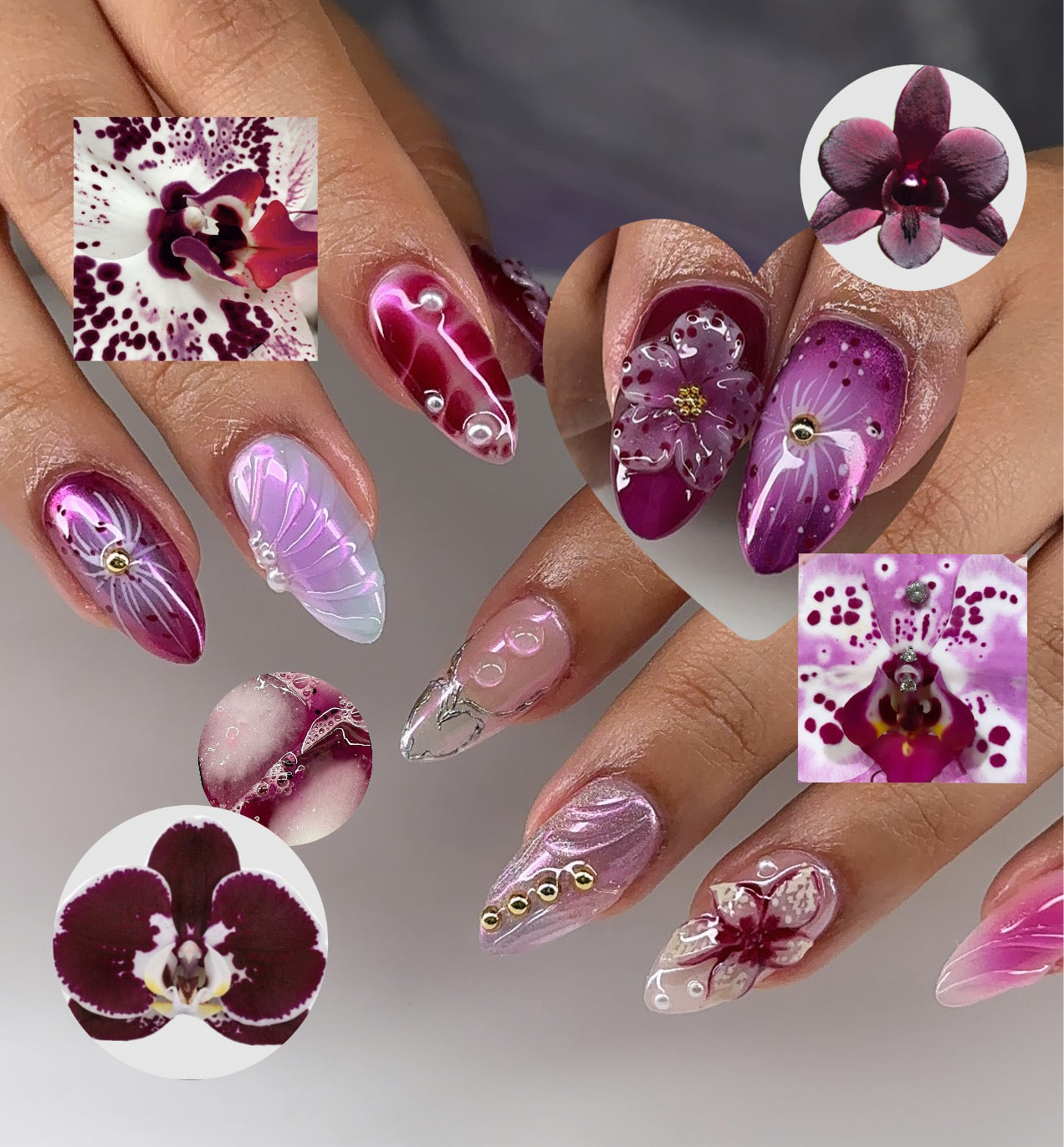 Orchid Overload