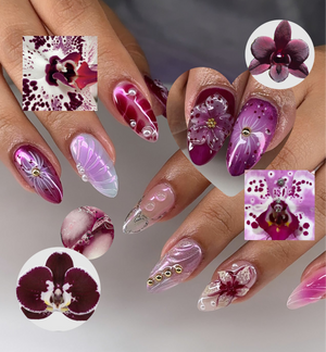 Orchid Overload